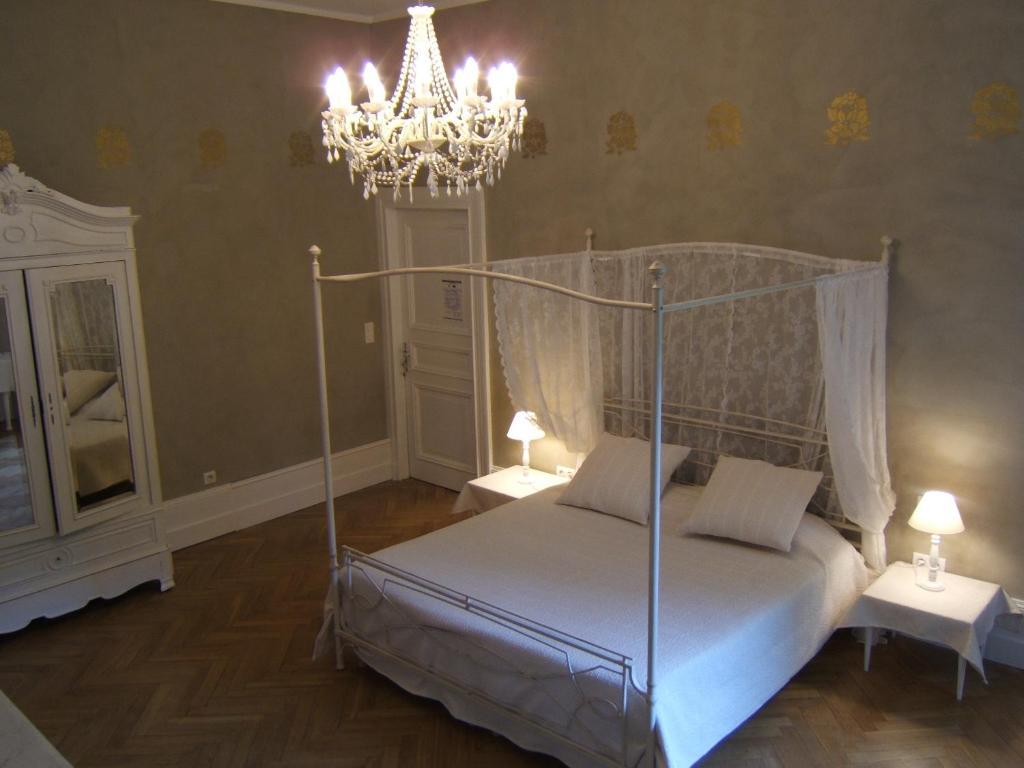 Chambres D'Hotes Chateau De Viviez Værelse billede