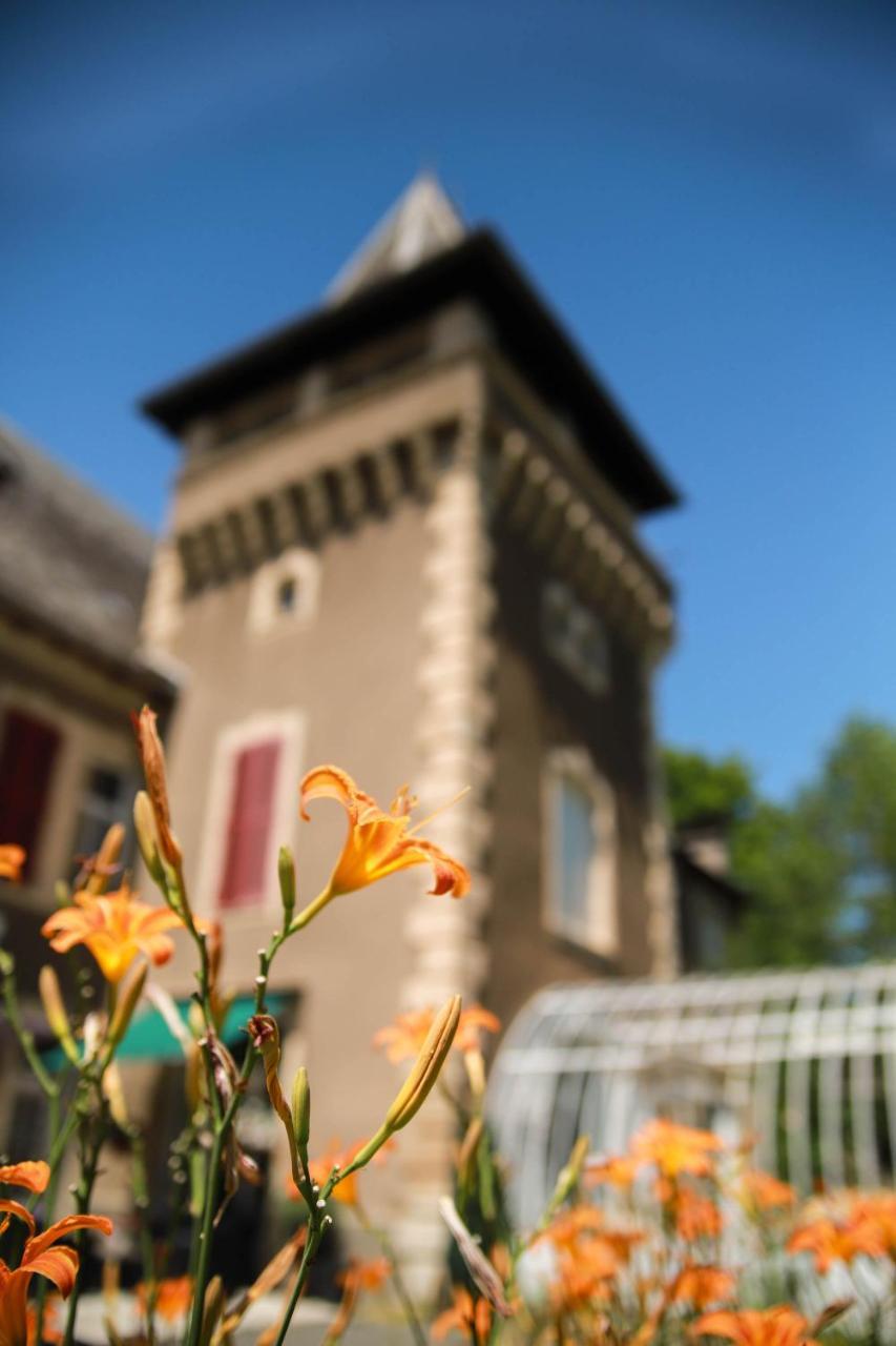Chambres D'Hotes Chateau De Viviez Eksteriør billede